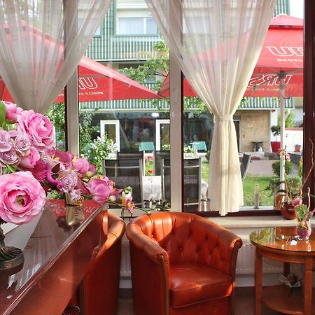 Casa Jasmine Hotell Braşov Eksteriør bilde