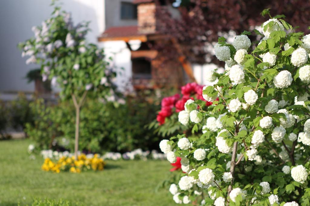 Casa Jasmine Hotell Braşov Eksteriør bilde